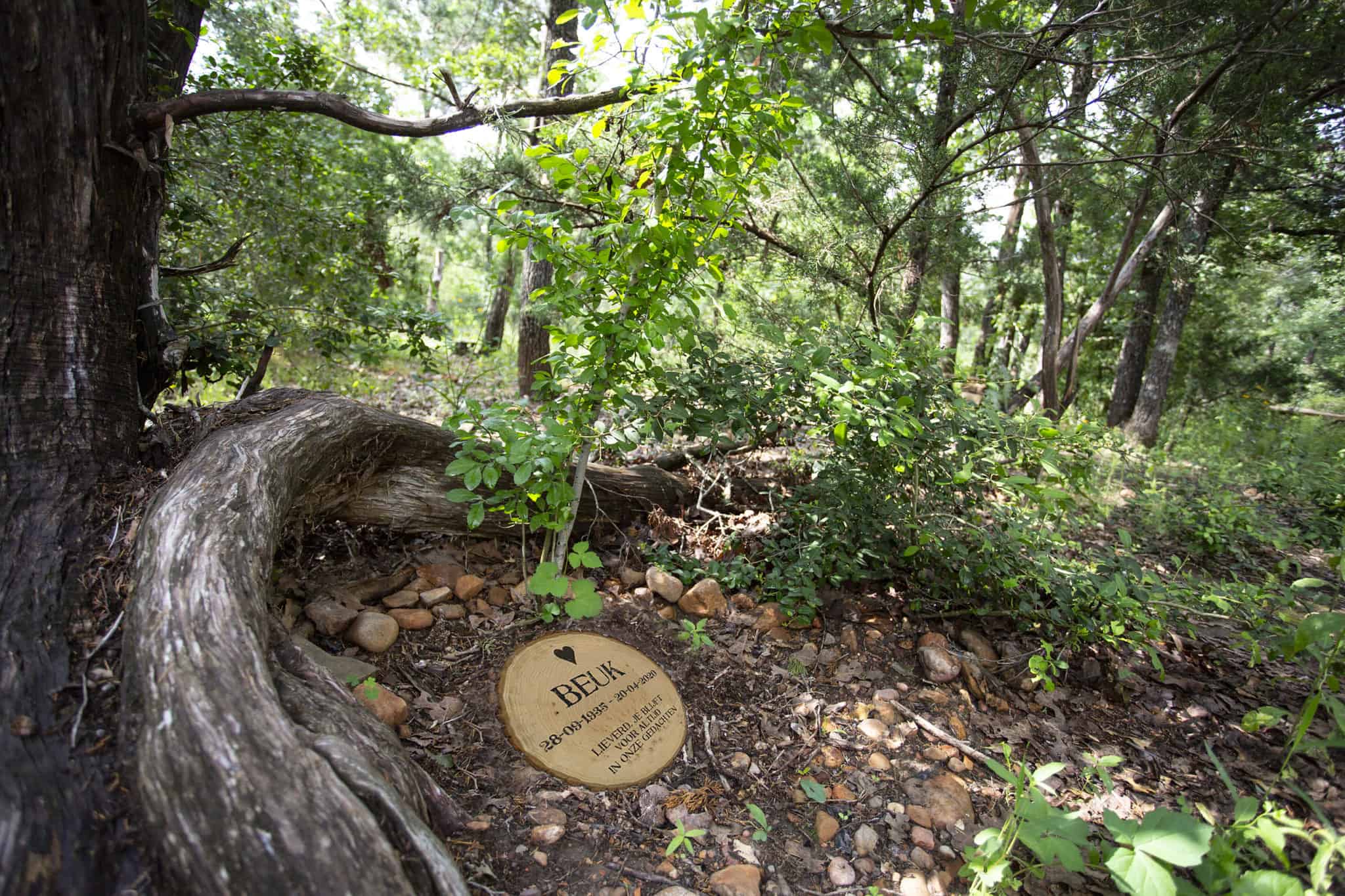 Natuurgraf in het bos met houten gedenkschijf